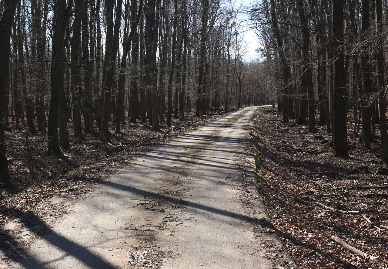 Nákladiště Cáhnov/Dědova louka. Sem dosahovala nejjižnější, naprosto spolehlivě doložená kolej. Pokračování drážky je poněkud otazné.