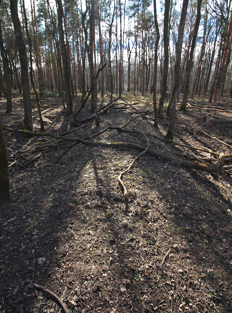 Jedna ze dvou kolejí nákladiště Cáhnov dosahovala až na břeh mrtvého ramene Moravy. Tady drážka končila.