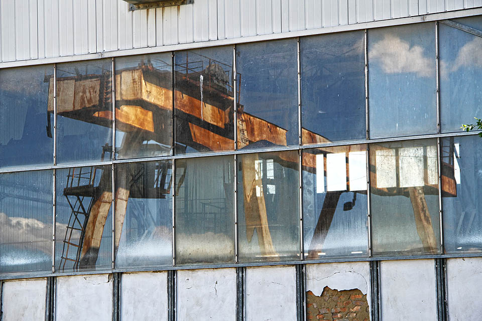 Někde v hloubi areálu se ukrývá také tento elegantní jeřáb.