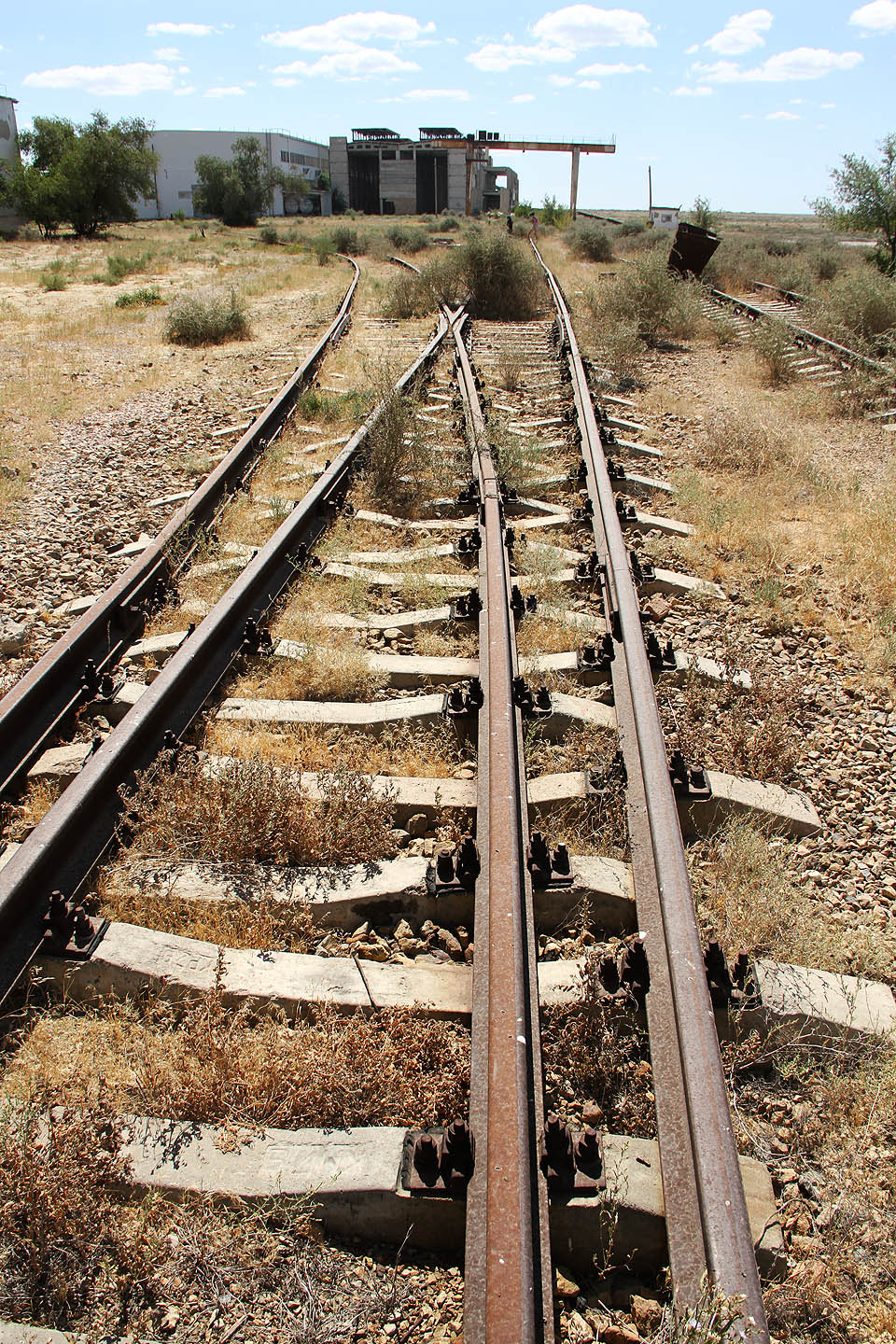 Vlečka v areálu je poměrně rozsáhlá, nicméně v roce 2015 již dávno z větší části nevyužívaná.