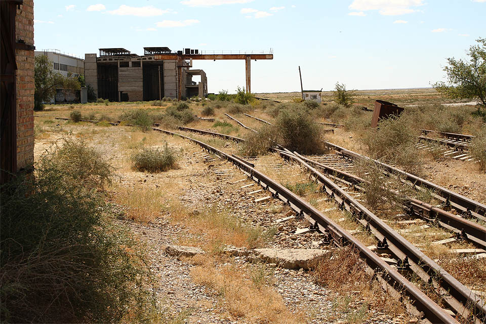 Kolejiště zatím zarůstá polopouštní vegetací a mezi pražci se prohání ještěrky.