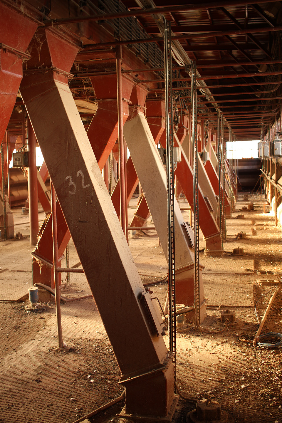 Ve sluncem zalité prosklené místnosti je kupodivu příjemně teplo i na začátku února.