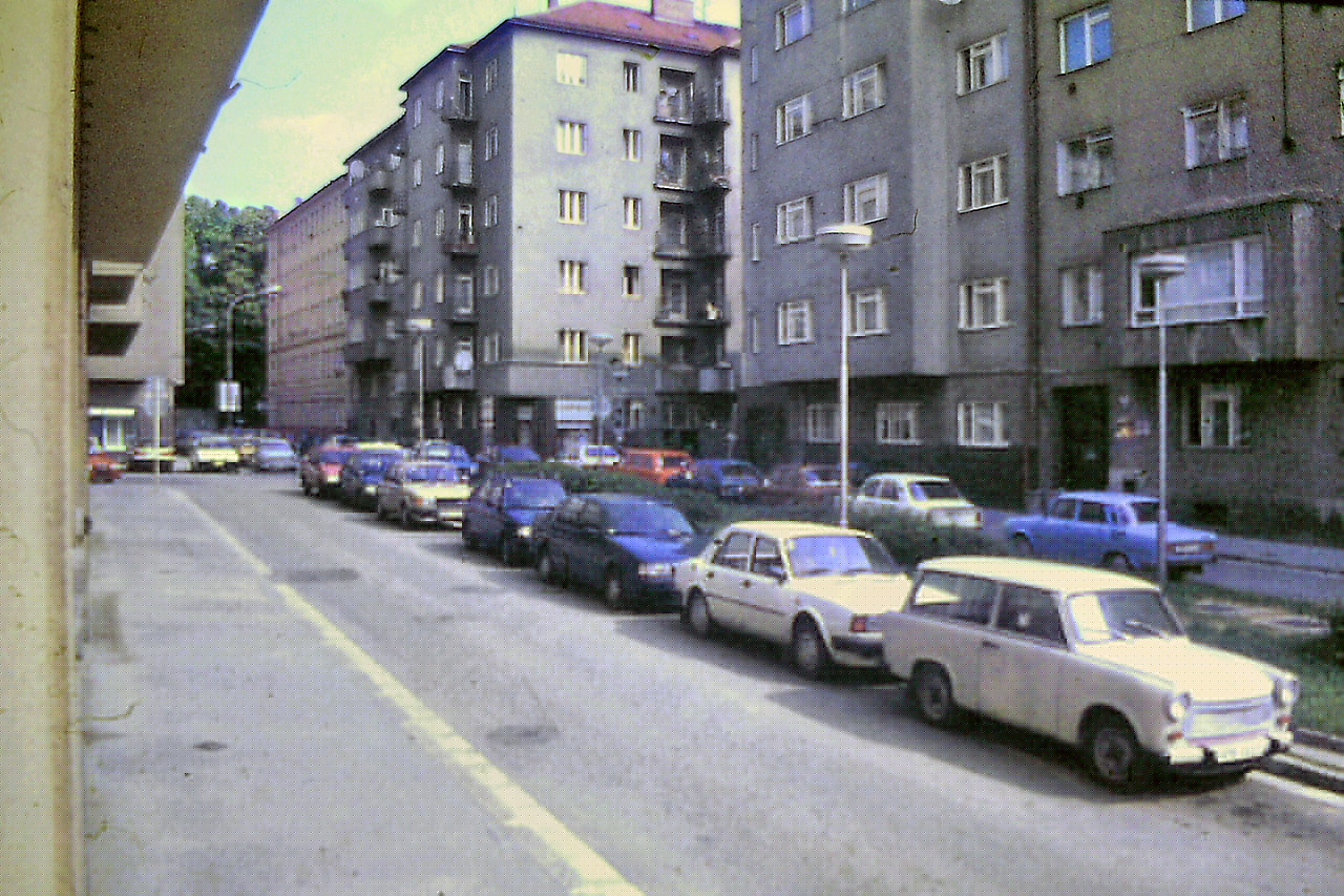 Pohled na Mášovu ulici ve vrcholícím létě roku 1996. Od svého počátku byla ulice koncipována se středovým zeleným pásem, který měl alespoň částečně rozvolnit v době dokončení nejhustěji osídlenou ulici v Brně (v počtu obyvatel na m<sup>2</sup> plochy).