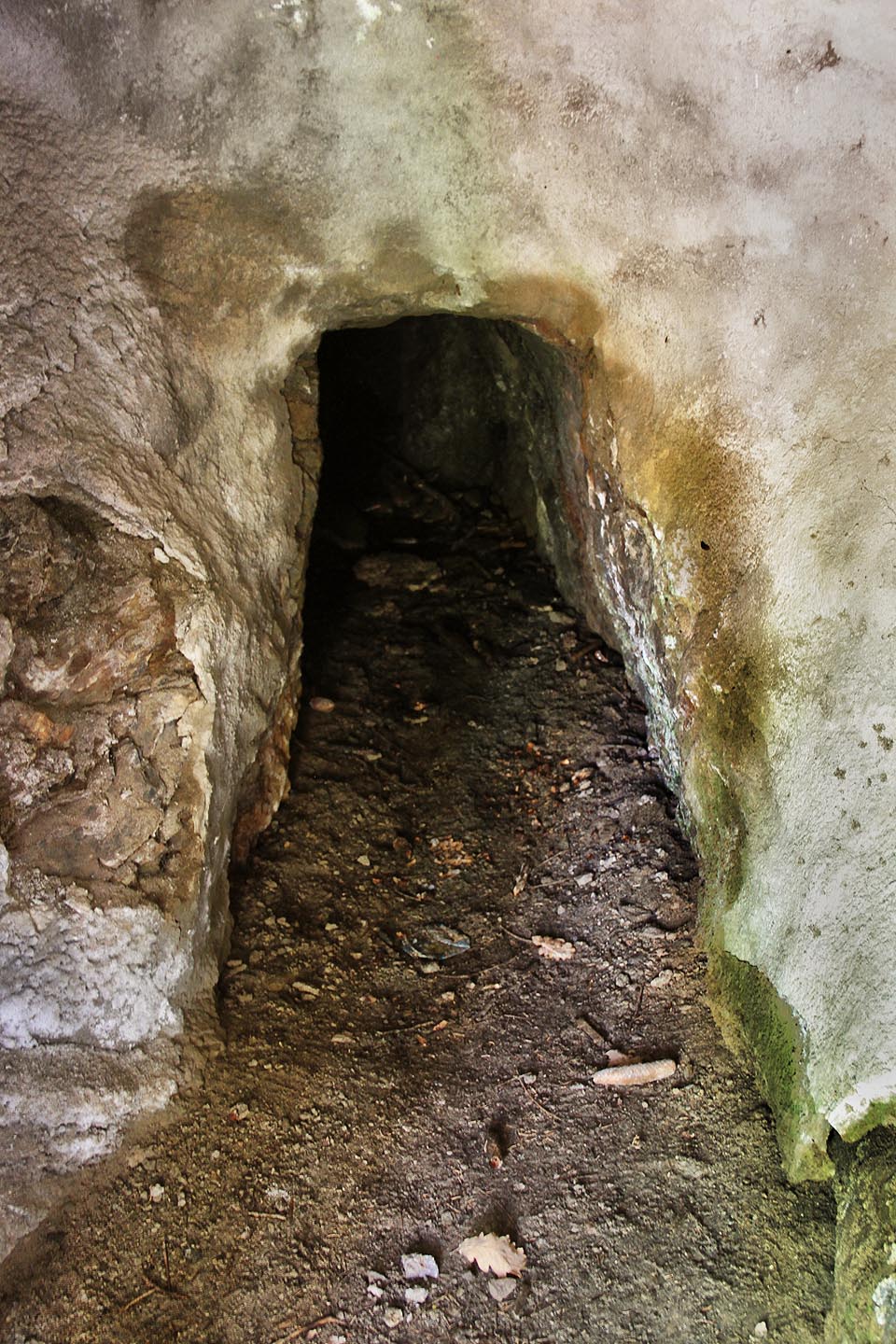 Samotný vstup do historické štoly za mříží je opatřen betonovým nástřikem pro zpevnění opukové skály.