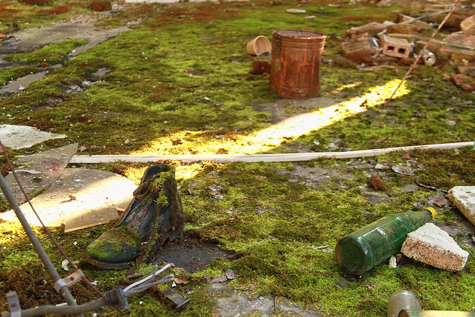 Třeba boty, které by mohla bez okolků zařadit do svého sortimentu firma <a href=http://www.moosbacher.cz/public/content-images/moosbacher-katalog-2010-obuv.pdf>Moosbacher - chůze jako po mechu</a>.