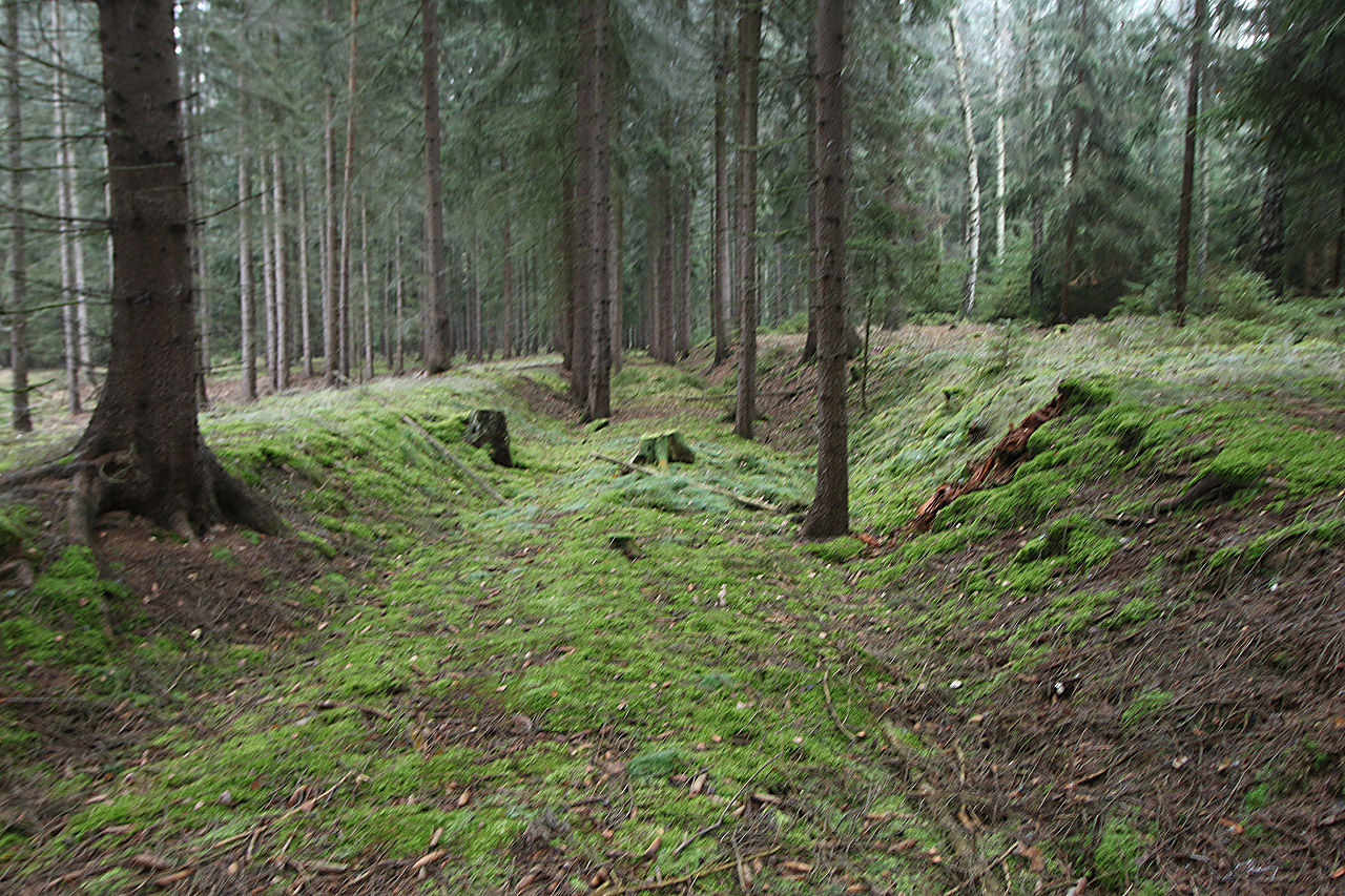 Materiál na náspy pocházel ze zářezů, kterými trať překonávala vyvýšená místa.