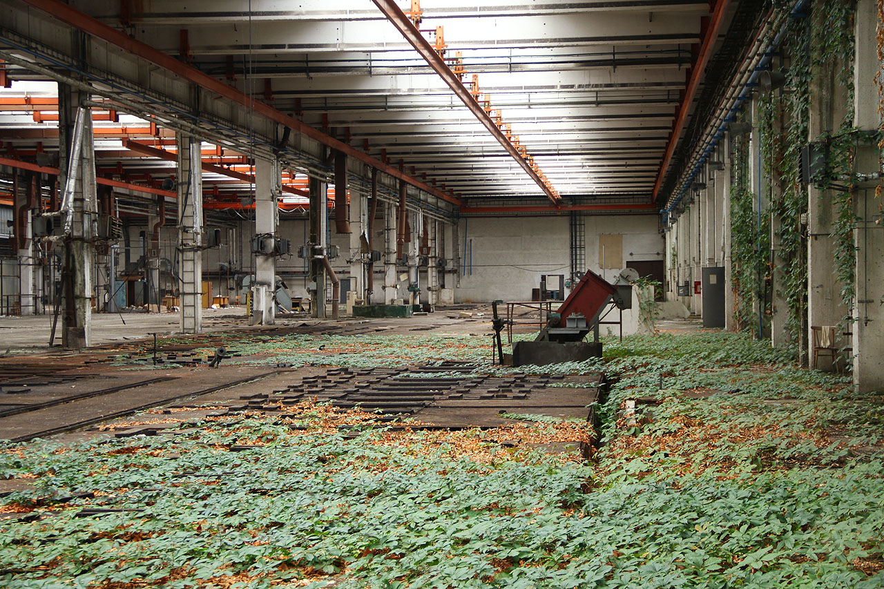 Stejně jako jiné roky opuštěné budovy i motorárna je krásná ve chvíli, kdy si ji bere zpátky příroda.