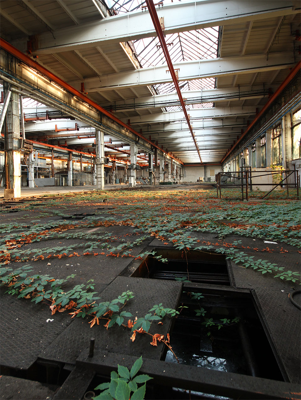 Oleje je tu dostatek na celoroční fritování hranolků pro celé Brno. Hloubku nádrží neznáme a tak se raději snažíme nestoupnout vedle.