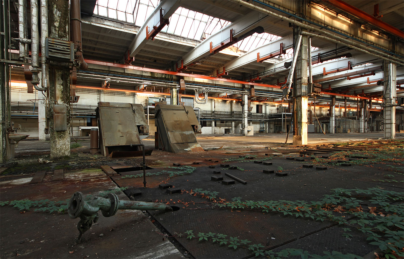 Barevné kombinace kovových konstrukcí, blankytu oblohy a popínavých rostlin nás nepřestávají fascinovat.