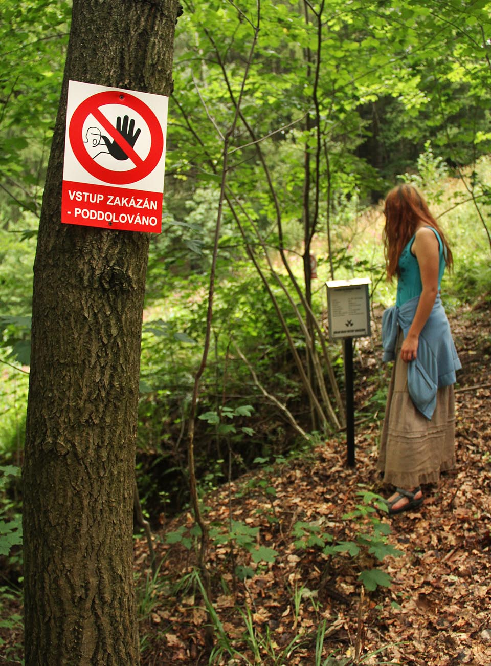 Nedaleko <a href=/Tema/St%C5%99%C3%ADbrn%C3%A9%20Hory>Stříbrných Hor</a> na katastru <a href=/Tema/P%C5%99ibyslav%20(ORP%20Havl%C3%AD%C4%8Dk%C5%AFv%20Brod)>města Přibyslavi</a> se ve svahu za bývalým lomem u Utína nachází vstup do středověké Nebeseké štoly.