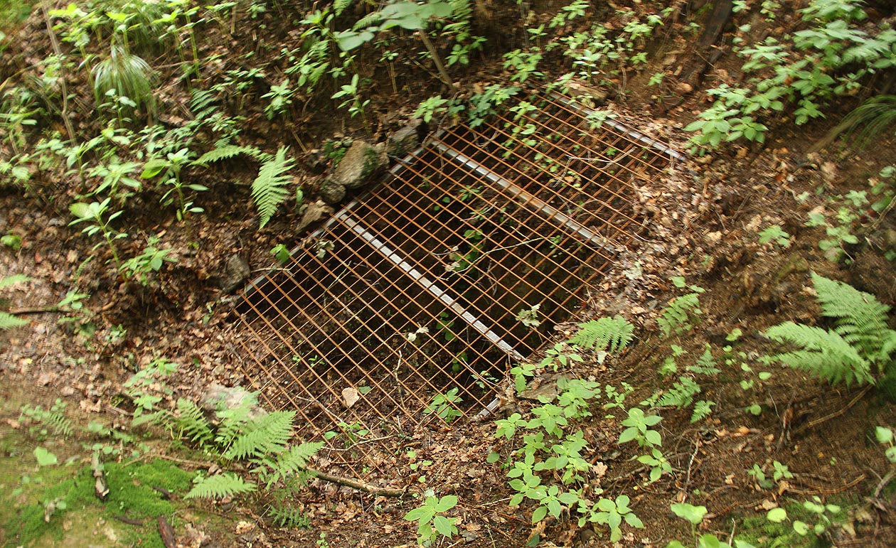 Původní vstup je zavalen, po nějakou dobu bylo možné se do štoly dostat prokopaným otvorem v bahnitém závalu, který byl extrémně nebezpečný. Proto byl v roce 2017 důkladně zabezpečen ocelovou mříží, díky níž už přístup není možný.