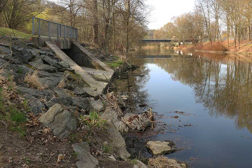 Ústí stoky, která spojuje odlehčovací komoru se Svratkou je nedaleko, lávky na Riviéře. Občas se tu zdržují mandarínské kachničky.