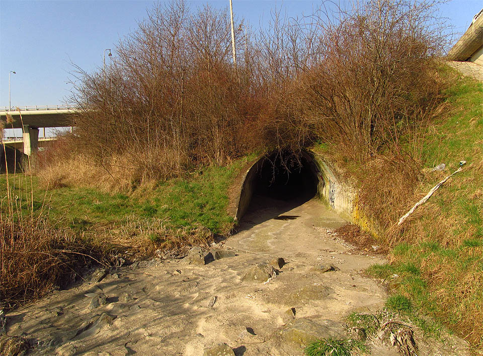 Vstup (a současně výtok) do odlehčovací komory je šikovně ukryt v křoví pod železniční vlečkou.