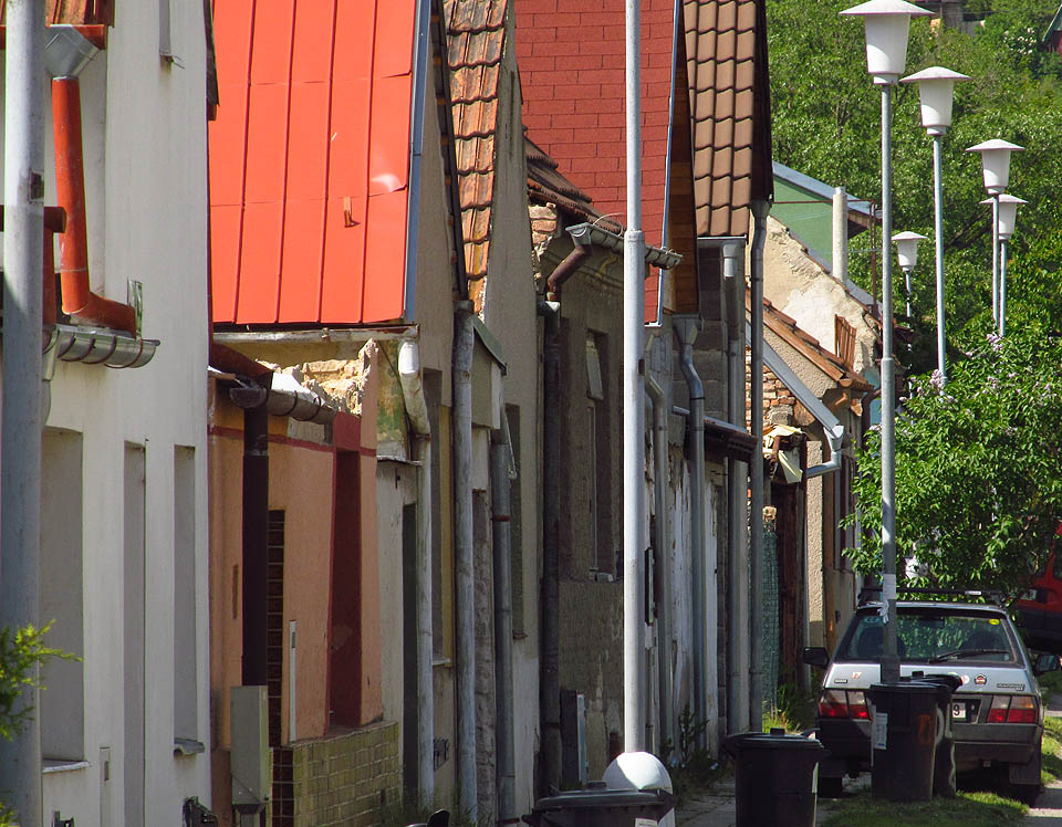 V rozmanitosti je (ještě pořád) krása.