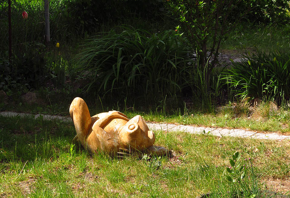 Odpolední siesta na břehu řeky Svitavy v ulici Olší.