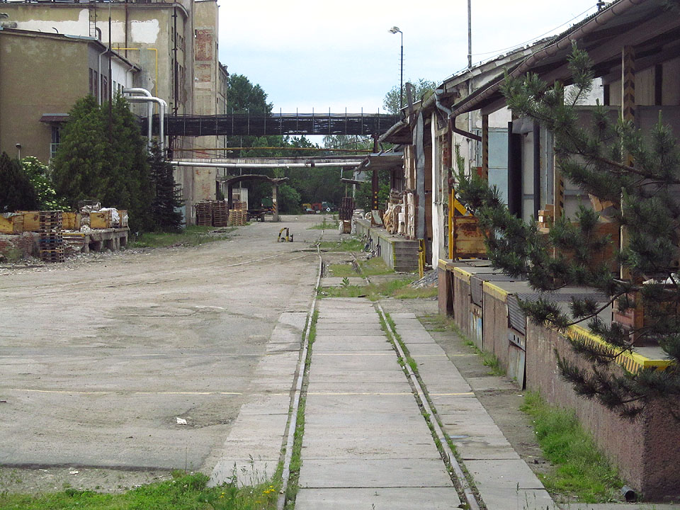 Železniční vlečka hrála v průěhu desetiletí významnou roli při výrobě i rozšiřování papírny. Pojednává o ní proto <a href="/Tema/Vlečka Lukavice na Moravě - papírna">samostatný článek</a>.