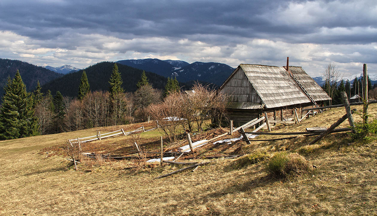 Přestože hory halí těžké dešťové mraky, na poloninu nad Siněvírskou Poljanou svítí sluníčko, ve kterém tají poslední zbytky jarního sněhu. Osada je opuštěná, na své letošní obyvatele teprve čeká.