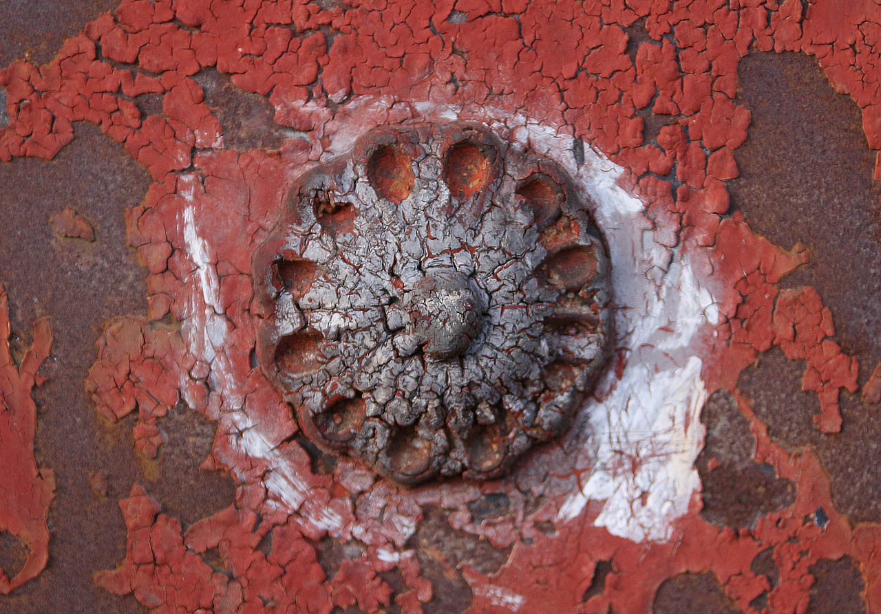 Jsou prý ve Druhém Brně oblasti, ve kterých mají i domy svá citlivější místa jako lidé. Třeba bradavky…