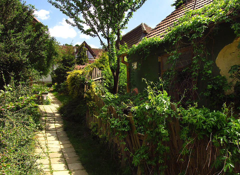 Původní sveřepá džungle už vegetuje jen na ostrůvcích mezi kultivovanou zahradní zelení.