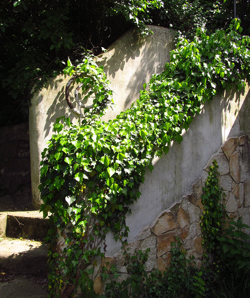 Zábradlí jako z obrázku od Pavla Čecha.