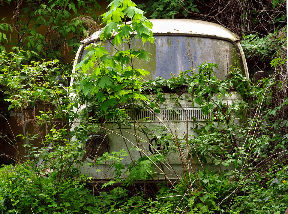 Stejně jako všechny <a href=/Tema/Brn%C4%9Bnsk%C3%A9%20d%C4%9Blnick%C3%A9%20kolonie>kolonie v Brně</a>, uchovává si i Písečník svá romantická tajemství.