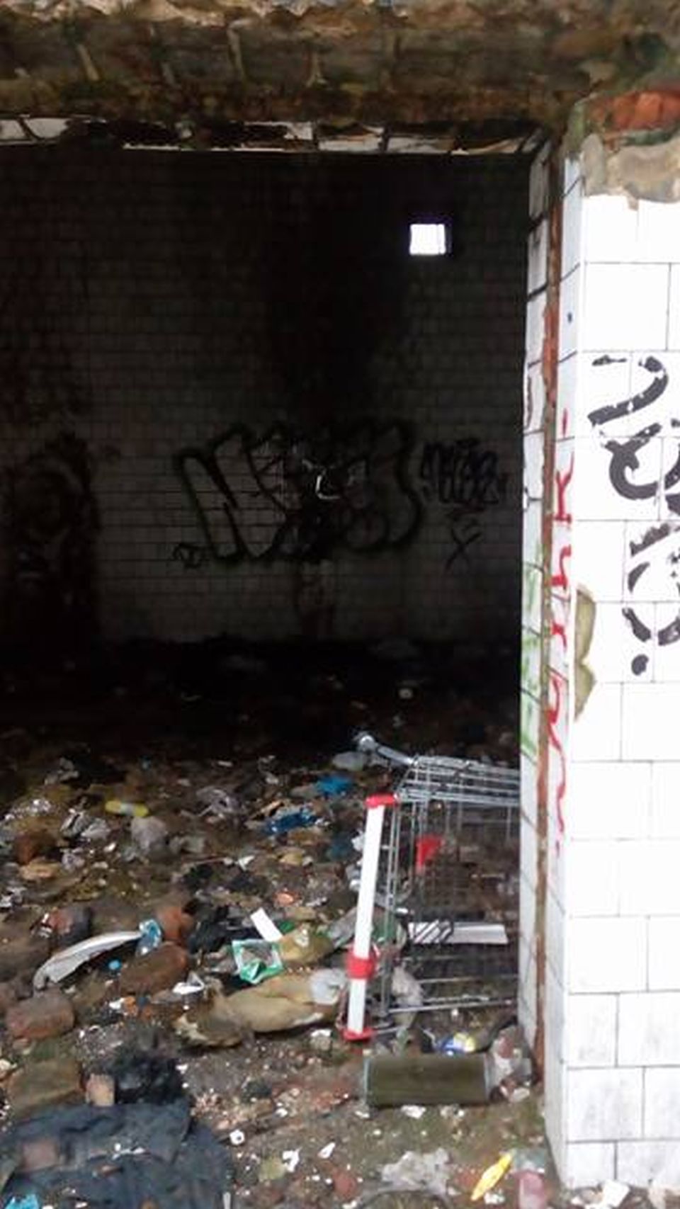 Převrácený nákupní vozík mi tu připomene postapokalyptickou knihu Cesta.