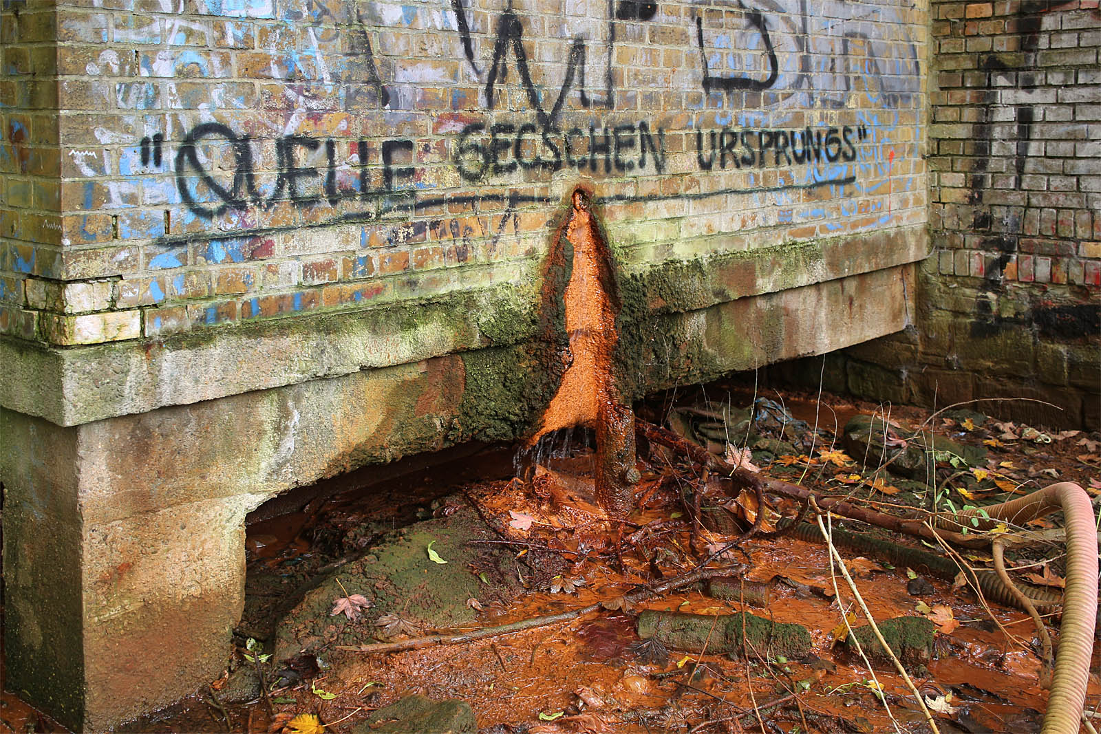 Z pramene stále vytéká mírně železitá voda se slabým sirným zápachem. Nemajíc trubky, skapává ovšem do bažiny na břehu řeky pod poněkud záhadný nápis „QUELLE GECSCHEN URSPRUNGS“. Pokoušíme se přeložit jako prapůvodní pramen? 