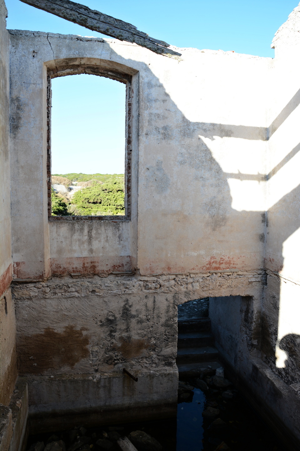 Vypadá to, že v něm byla zásoba vody, v tomto vyprahlém prostředí nevypadá nic užitečněji, než malá vodárnička uprostřed křoví.