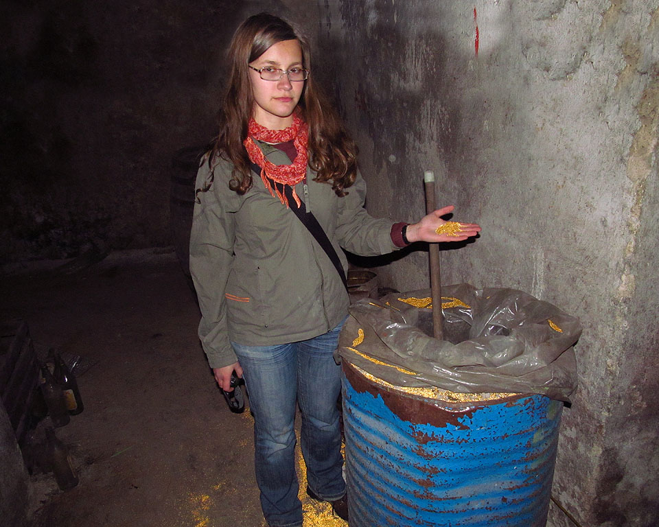 Sud není plný zlata, ale pouze obyčejné kalafuny.