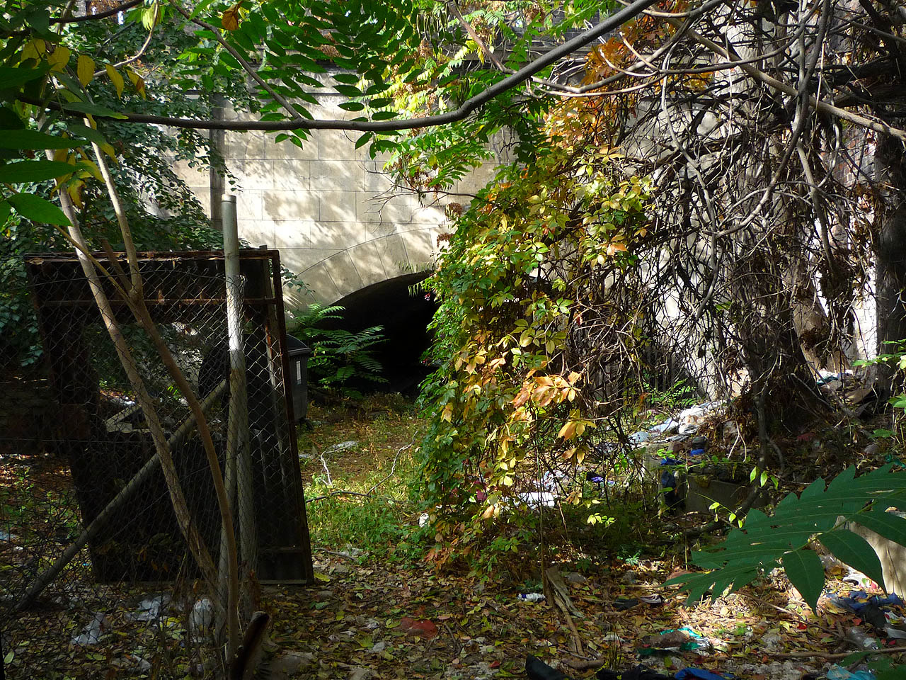 Tunely Svrateckého náhonu pod hlavním nádražím jsou vlastně dva. Toto je pohled od východu na západní tunel (vedoucí ke dnešní hospodě Na dráze). Prostor, ze kterého je snímek focen, tvoří absolutně odvrácenou tvář města, pravý vstup do <a href="/Tema/Druhé Brno">Druhého Brna</a>. Spustit se do něj dá shora pouze na laně.