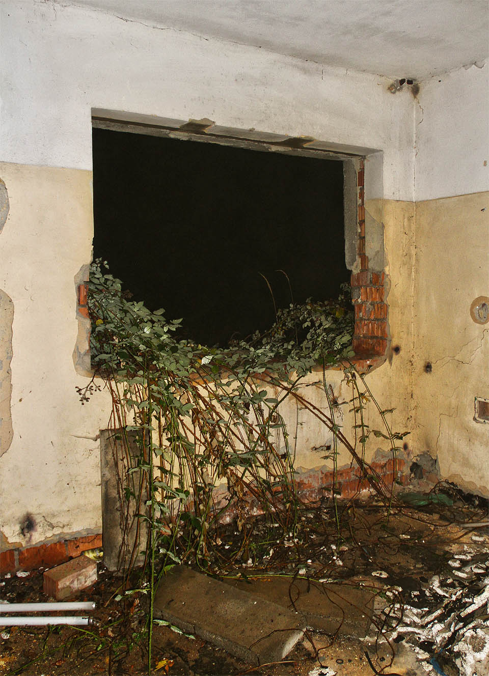 Příroda si postupně připoutává budovy ostružinovými šlahouny, plísněmi na stěnách, ptačími hnízdy a pelíšky lesních myší.