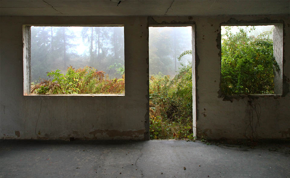 Pohled do zdivočelé přírody skrze odstraněná okna a dveře jednoho ze tří klamných objektů v areálu.