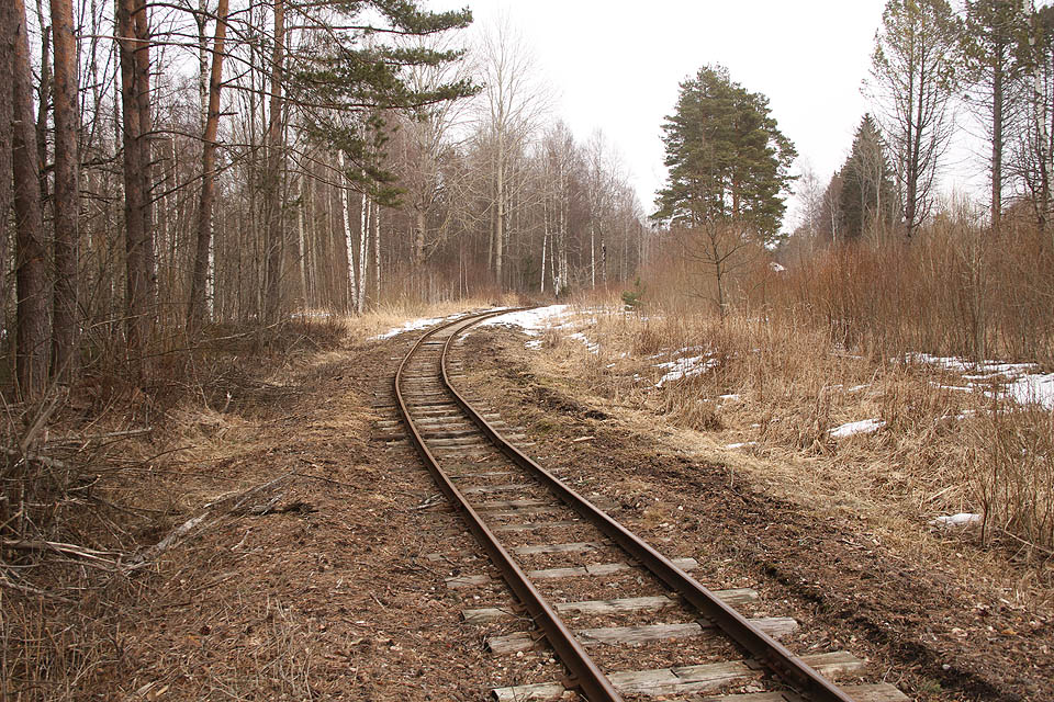 Po kliometru se drážka stáčí k severu a táhlým obloukem prochází bažinatými lesy.