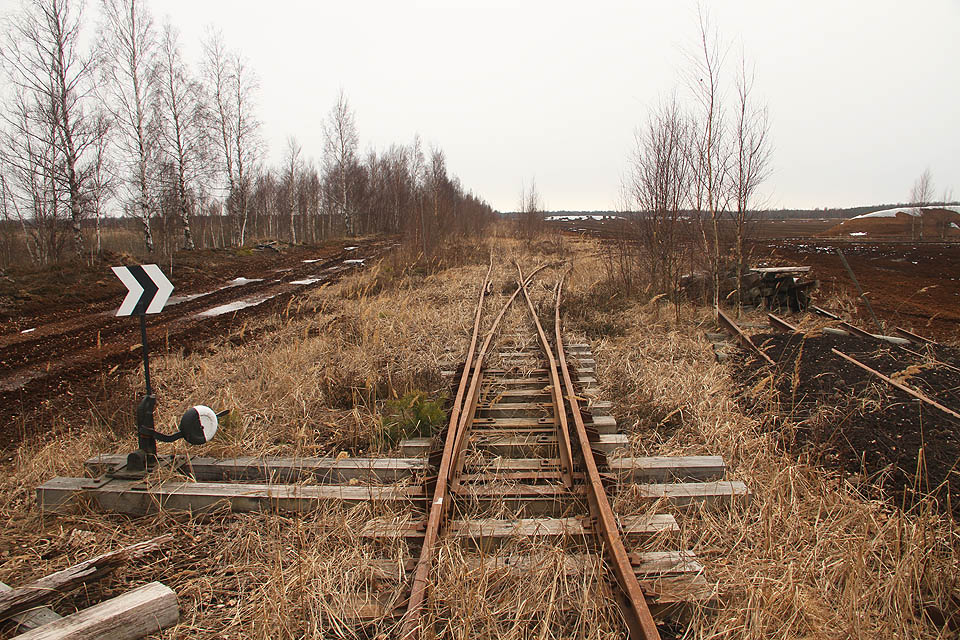 Výhybky v rašeliništi jsou stále funkční, do Zababova tady ale stejně vedou všechny koleje.