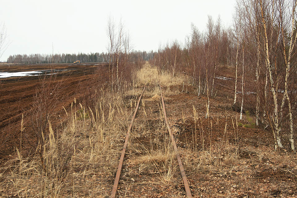 Tady se podle výšky keřů nejezdí už pár let. Blížíme se k centrální části rašeliniště, kde je dnes centrum nekolejové těžební techniky.