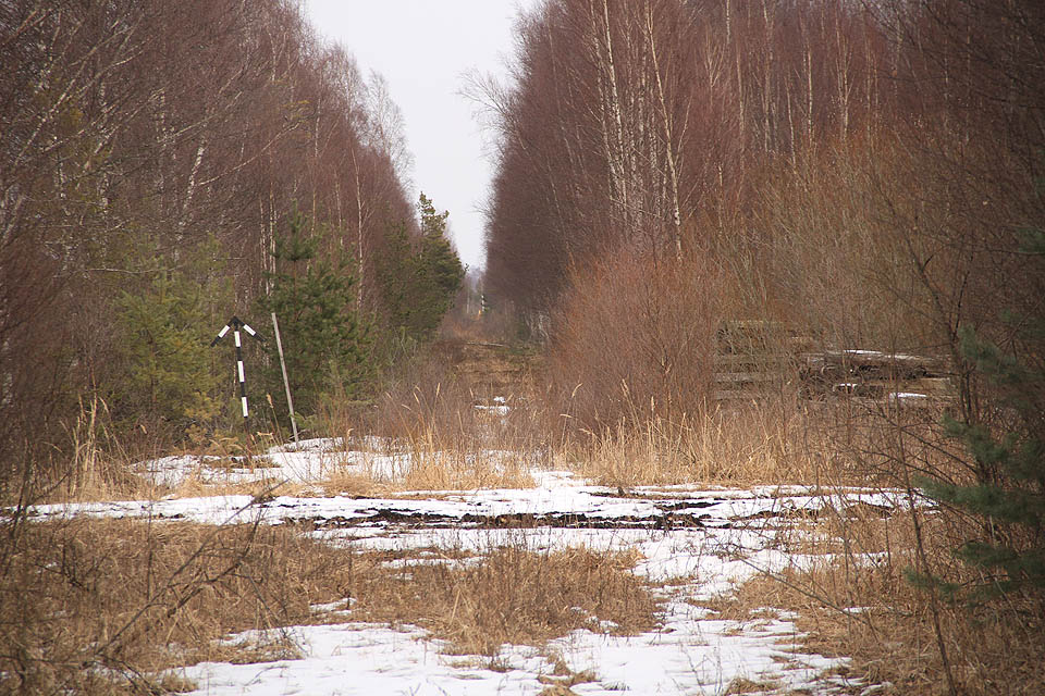 Zde už z většiny tratí zbyly jen náspy a průseky pomalu zarůstající křovím. V tomto místě začínala 30 km dlouhá spojovací trať do <a href="/Tema/Rašelinová dráha v Tootsi">Tootsi</a>.
