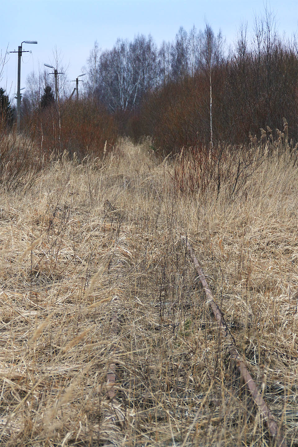 Tak vypadá pokračování trati k rašeliništím. Opodál už koleje končí pod vrstvou trávy a tlejícího listí. Těžba i zpracování rašeliny v Tootsi definitivně skončily. Tak vypadá pokračování trati k rašeliništím. Opodál už koleje končí pod vrstvou trávy a tlejícího listí. Těžba i zpracování rašeliny v Tootsi definitivně skončily.