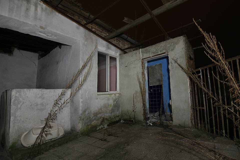 Děravou střechou sem prší, takže mezi dlaždicemi raší bujné rostlinstvo, kterému se v závětří a relativním stínu dobře daří.