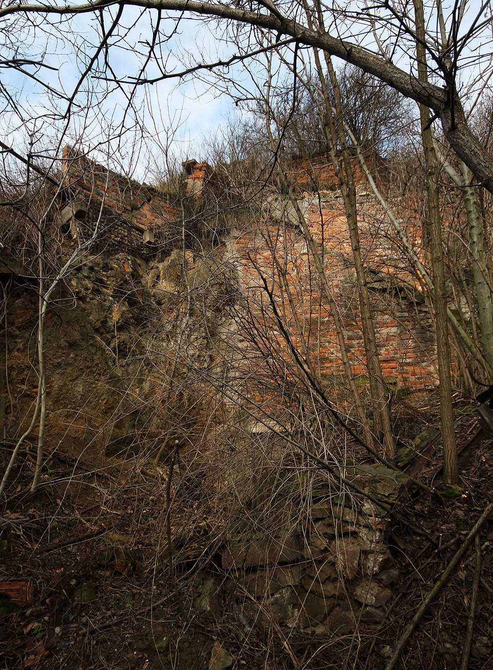 Nejkrásnější stavbou na zahradě je ale systém opěrných zdí, teras a schodišť nalepených na skále pod Lozíbkami.