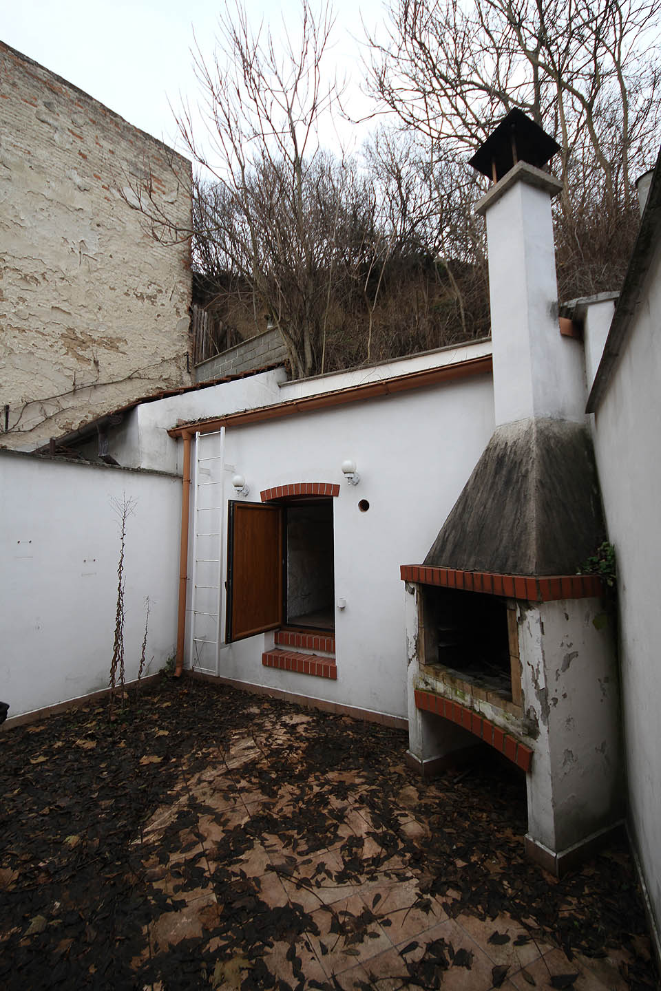 Pro zeleň nezbylo ve stísněném a dokonale opraveném zázemí domku místo. Vyrostl tu pouze omšelý zlatobýl.