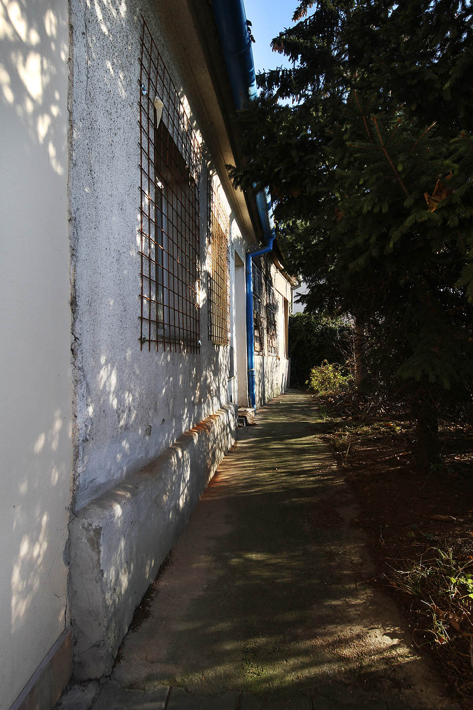 Předposlední domek je ukryt za hradbou hustých smrků.