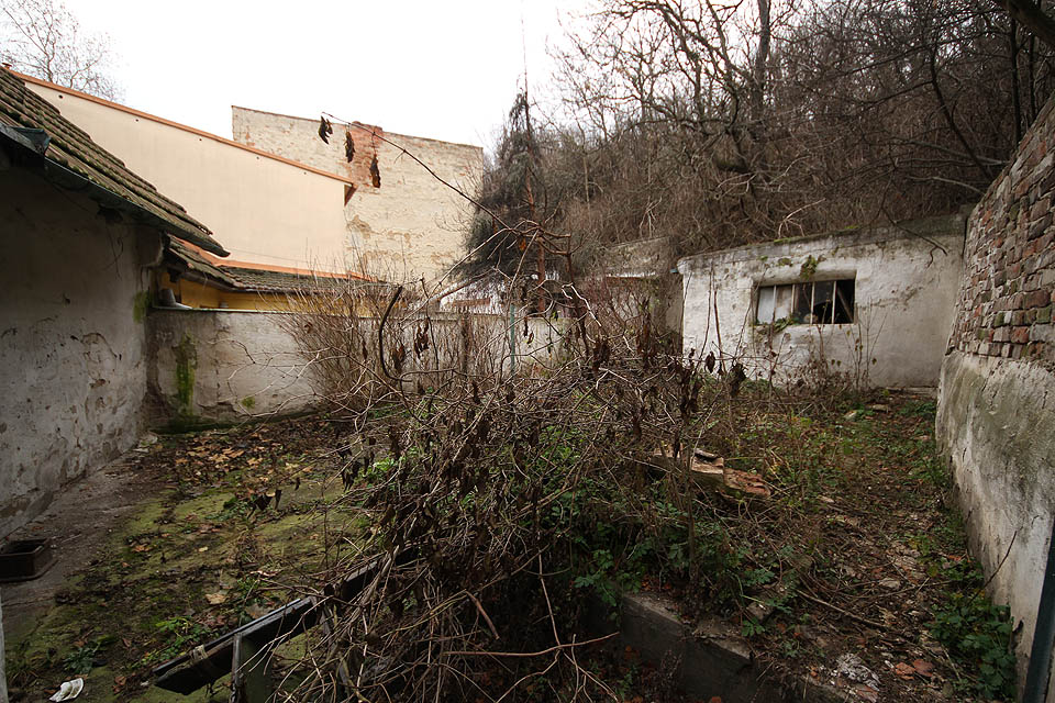 Do suše se tu vkrádá nesnesitelný smutek.