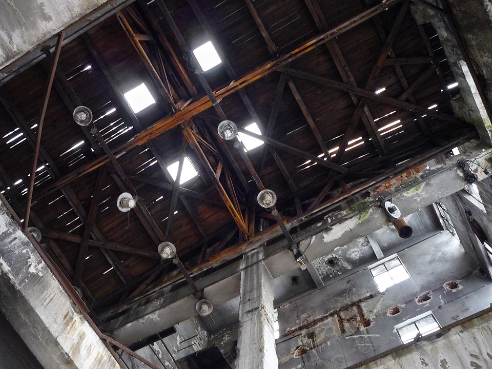 Stropy hal, kam člověk nedosáhne, zůstaly opuštěnou divočinou, podléhající přirozené zkáze.