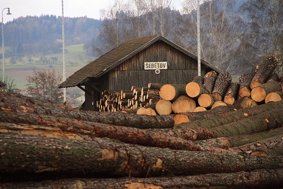 Dalo by se říct, že v listopadu byla stanice v Šebetově dřevem doslova zavalena.