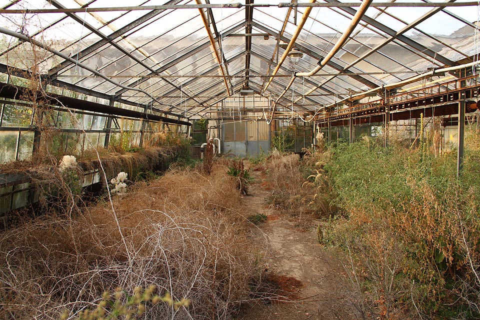 Suchomilné rostlinstvo v opuštěných sklenícíh pod ulicí Lány.