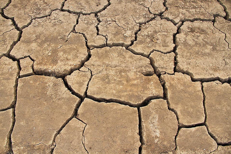 Popraskaná půda dobře poslouží jako ukázka desertifikace pro studenty přírodovědných oborů.