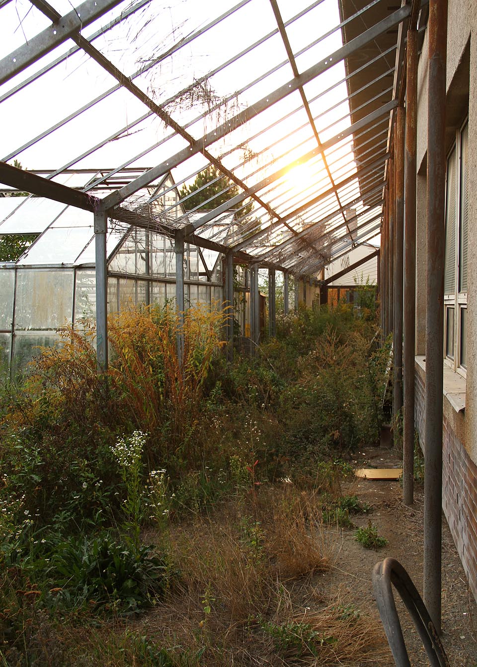 Spojovací skleněný přístřešek zpřístupňoval skleníky ze školy nezávisle na povětrnostní situaci.