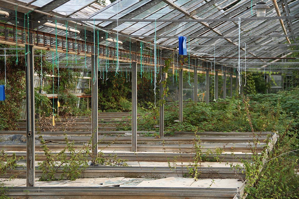 Po západu slunce padá na skleníky tma a tíseň. Je na čase se vydat dál.