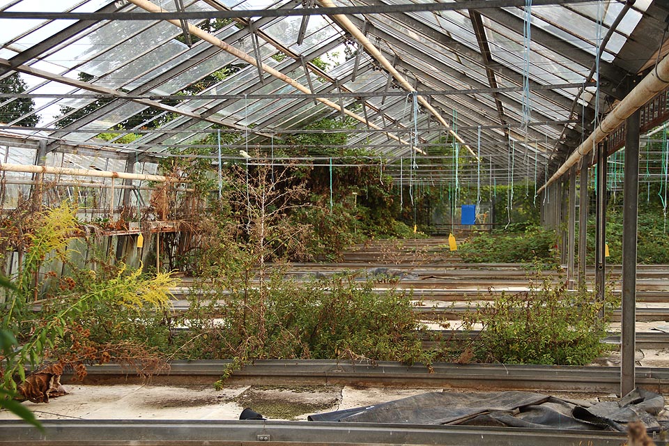 Uzavřený svět s vlastními pravidly, tempem života i smrti.