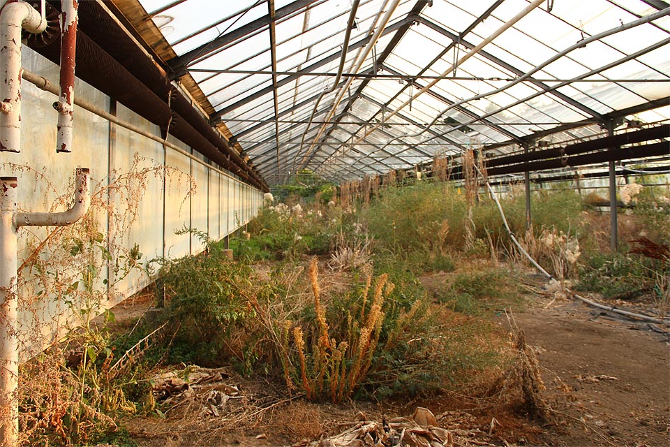 Přestože je areál využíván, ve sklenících se zastavil čas.